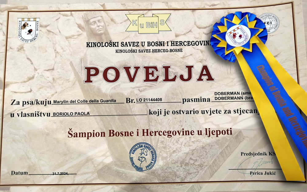 Diploma campionato Bosnia Herzegovina Marylin del Colle della Guardia